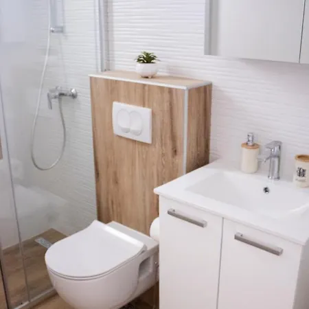 Apartment Nikola Skarica 1 *