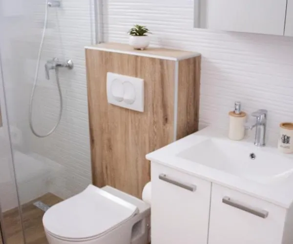 Apartment Nikola Skarica 1 *