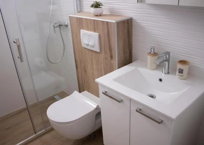 Apartment Nikola Skarica 1 *